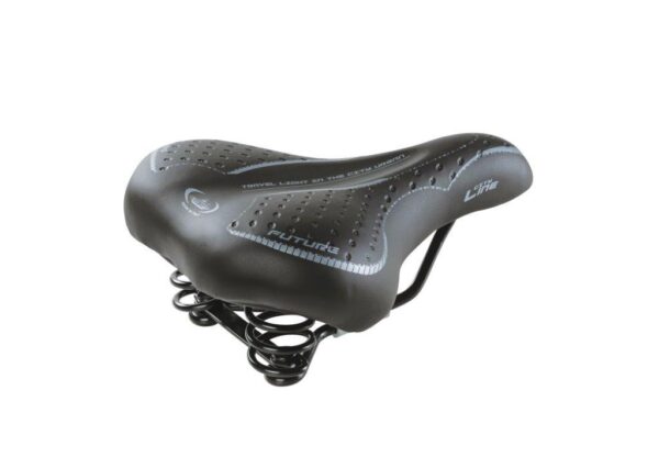 Montegrappa 1900 FUTURE LADY Zadel Zwart