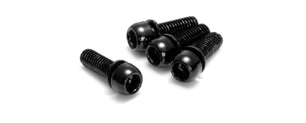 Reverse Pidurisadula Poldid Teras M6x18mm Must 4tk