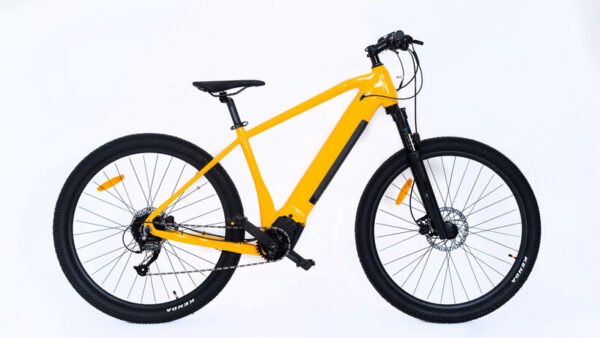 Zion Pine Creek E-MTB 18" (II SORT)