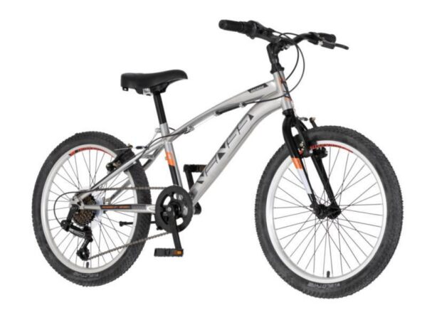 Detský Bicykel Venssini Arcadia 20" 6-Rýchlostný Sivý (1203122)