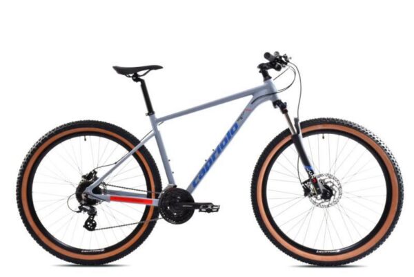 Capriolo MTB LC 29-3 29er Mountainbike 21" Grijs (926516-21)